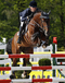 caroline_mueller_and_lesprit_lupicor_x_landgraf_i_in_the_1.40m_of_roosendaal_2012.jpg